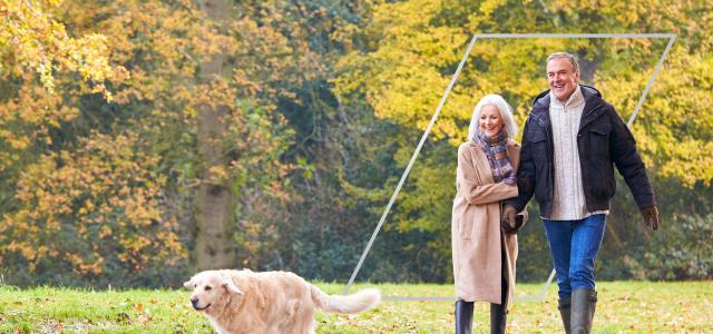 Loving senior couple walking with pet golden retriever dog along autumn woodland path through trees